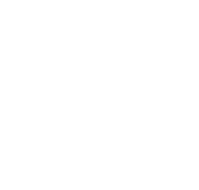 Bornes pour voiture électrique